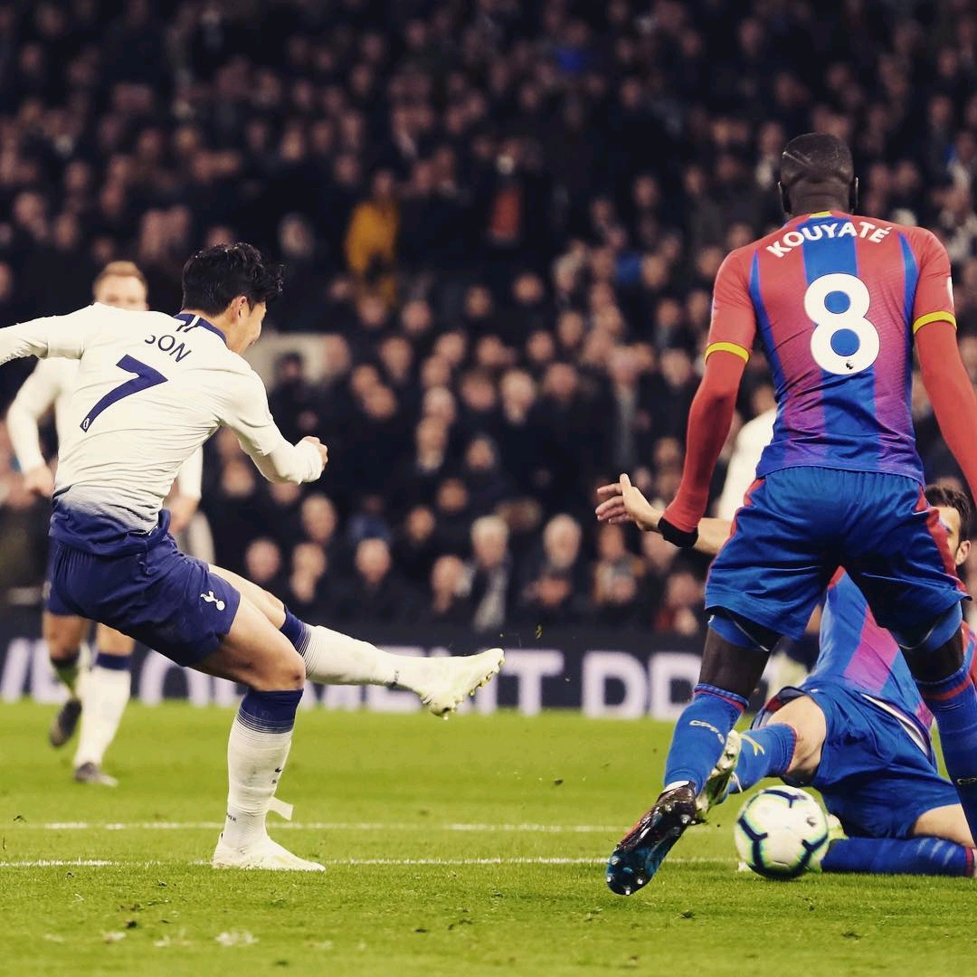 观众的热切 观众的热切